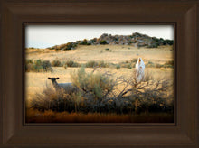 Load image into Gallery viewer, In Search of the One
