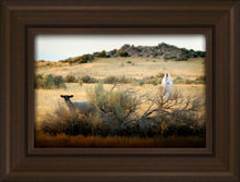 Load image into Gallery viewer, In Search of the One
