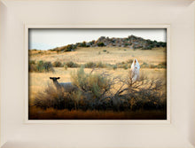 Load image into Gallery viewer, In Search of the One
