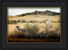 Load image into Gallery viewer, In Search of the One
