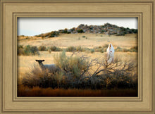 Load image into Gallery viewer, In Search of the One
