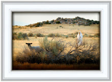 Load image into Gallery viewer, In Search of the One
