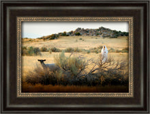 Load image into Gallery viewer, In Search of the One
