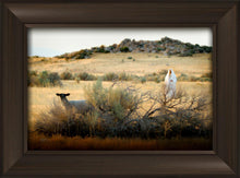 Load image into Gallery viewer, In Search of the One
