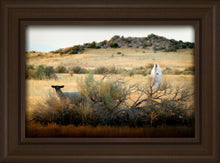 Load image into Gallery viewer, In Search of the One
