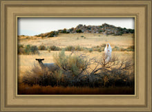 Load image into Gallery viewer, In Search of the One
