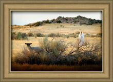 Load image into Gallery viewer, In Search of the One
