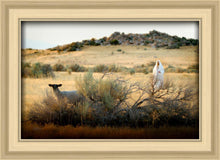 Load image into Gallery viewer, In Search of the One
