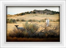 Load image into Gallery viewer, In Search of the One
