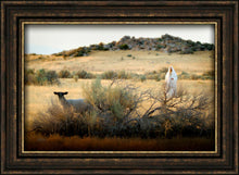Load image into Gallery viewer, In Search of the One
