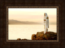 Load image into Gallery viewer, Light of the World
