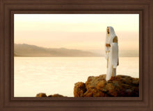 Load image into Gallery viewer, Light of the World
