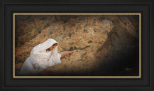 Load image into Gallery viewer, Tempted in all Things
