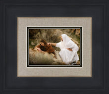 Load image into Gallery viewer, The Comforter
