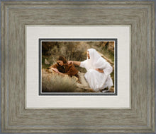 Load image into Gallery viewer, The Comforter
