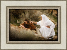 Load image into Gallery viewer, The Comforter
