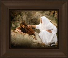 Load image into Gallery viewer, The Comforter
