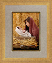 Load image into Gallery viewer, The Son of God
