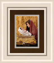Load image into Gallery viewer, The Son of God
