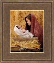 Load image into Gallery viewer, The Son of God
