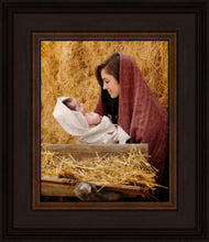 Load image into Gallery viewer, The Son of God

