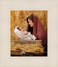 Load image into Gallery viewer, The Son of God
