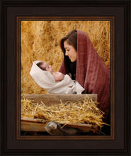 Load image into Gallery viewer, The Son of God
