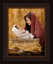 Load image into Gallery viewer, The Son of God
