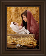 Load image into Gallery viewer, The Son of God
