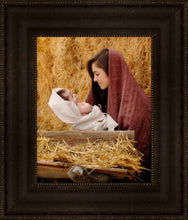 Load image into Gallery viewer, The Son of God
