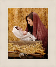 Load image into Gallery viewer, The Son of God
