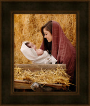Load image into Gallery viewer, The Son of God

