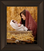 Load image into Gallery viewer, The Son of God
