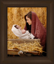 Load image into Gallery viewer, The Son of God
