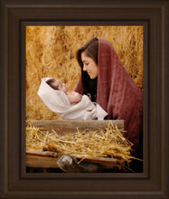 Load image into Gallery viewer, The Son of God
