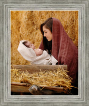 Load image into Gallery viewer, The Son of God
