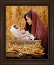Load image into Gallery viewer, The Son of God

