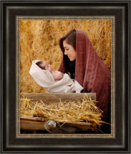 Load image into Gallery viewer, The Son of God
