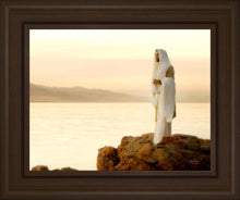 Load image into Gallery viewer, Light of the World
