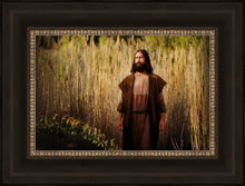 Load image into Gallery viewer, Prepare ye the way of the Lord
