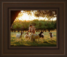 Load image into Gallery viewer, Tending the Flock
