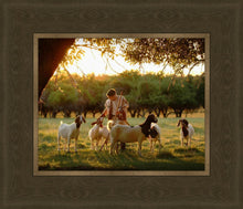 Load image into Gallery viewer, Tending the Flock
