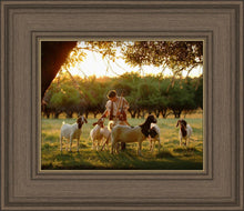 Load image into Gallery viewer, Tending the Flock
