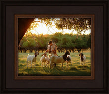 Load image into Gallery viewer, Tending the Flock
