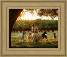 Load image into Gallery viewer, Tending the Flock
