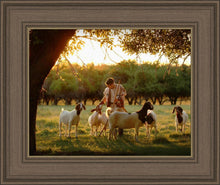 Load image into Gallery viewer, Tending the Flock
