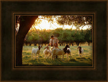 Load image into Gallery viewer, Tending the Flock
