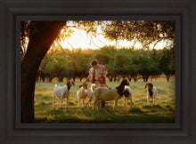 Load image into Gallery viewer, Tending the Flock
