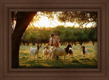 Load image into Gallery viewer, Tending the Flock

