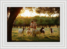 Load image into Gallery viewer, Tending the Flock
